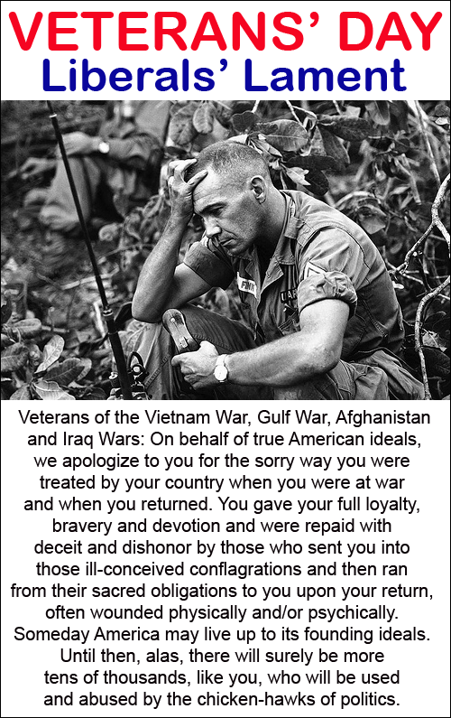 Veterans Day Liberal Lament